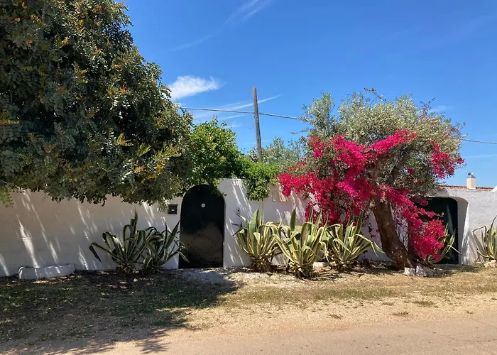 펜션 Sara Di Puglia 카스텔라네타