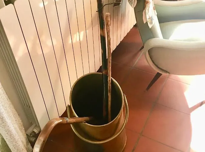 Sara Di Puglia *