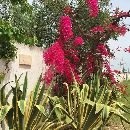 Sara Di Puglia Holiday home Castellaneta