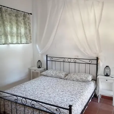 Sara Di Puglia *