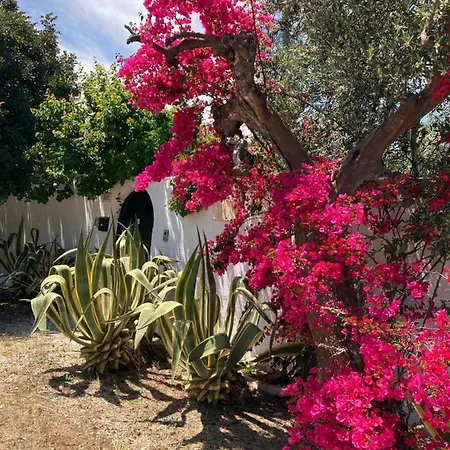 Holiday home Sara Di Puglia Castellaneta