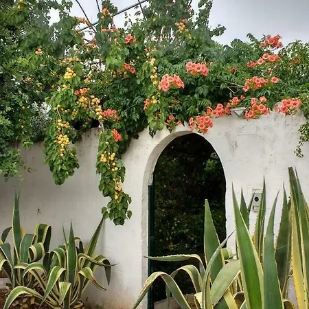 Holiday home Sara Di Puglia *